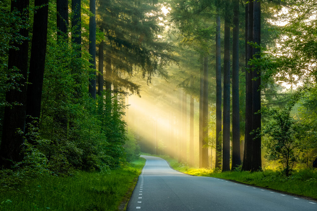 Speulderbos